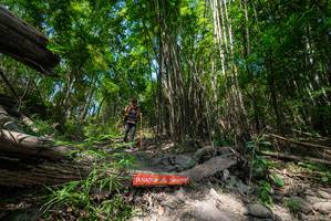 BIB: 
                            <button type="button" onclick="openModal(19394140)" class="btn btn-primary btn-sm float-right btn-popup" data-toggle="modal" data-target=".modal-high-quality">
                        <i class="fas fa-shopping-cart"></i> Add to Cart
                    </button>
                                            <button type="button" onclick="isThisMe(19394140, true)" class="btn btn-success btn-sm float-right btn-popup btn-isme hidden" data-toggle="tooltip" data-placement="bottom" title="นี่คือรูปของคุณใช่ไหม คลิกที่นี่เพื่อเอาเข้าอัลบั้ม">
                        <i class="fas fa-plus"></i> Add to album
                    </button>
                    <button type="button" onclick="isThisMe(19394140, false)" class="btn btn-warning btn-sm float-right btn-popup btn-isnotme hidden">
                        <i class="fas fa-ban"></i> Remove from album
                    </button>